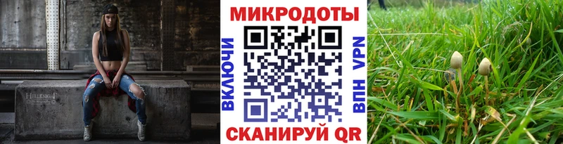 Галлюциногенные грибы Psilocybine cubensis  Грайворон 
